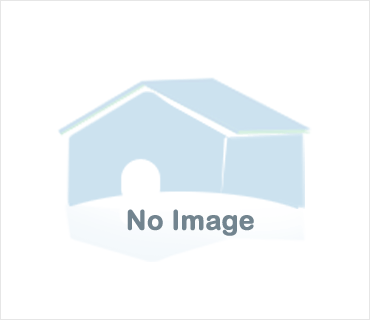 Listing:Image