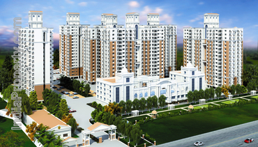 Listing:Image