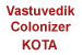 Vastuvedik Colonizer