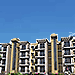 Dhingra's Gemini Grove